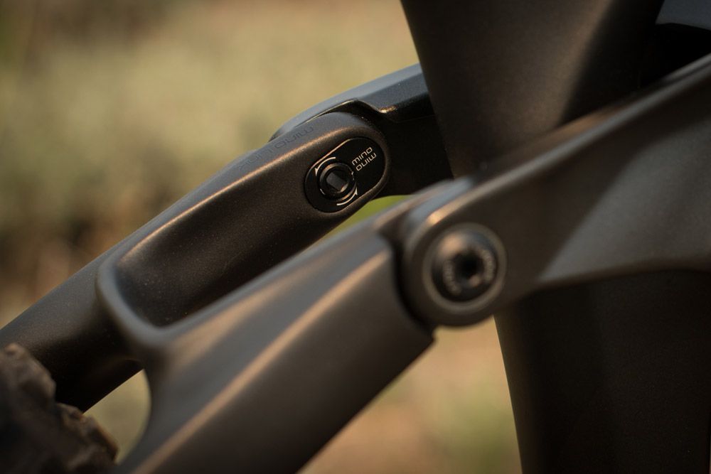 Trek Remedy 2019