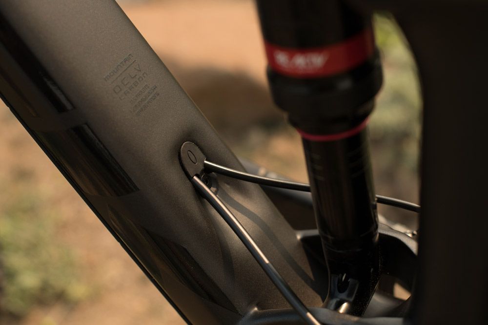 Trek Remedy 2019