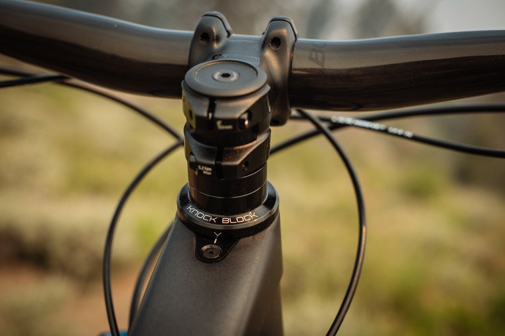 Trek Remedy 2019
