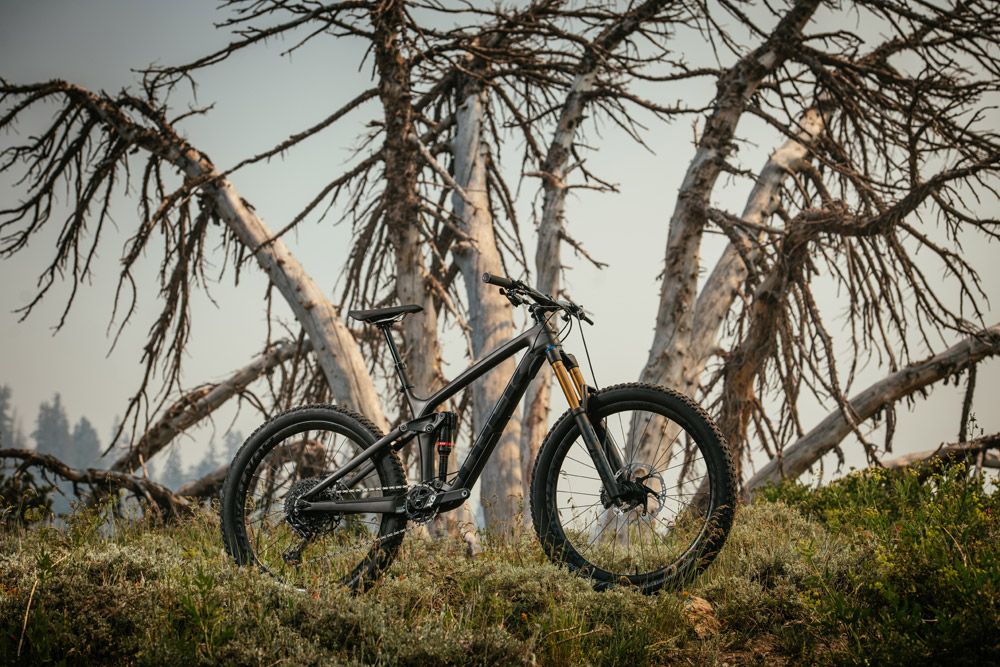 Trek Remedy 2019