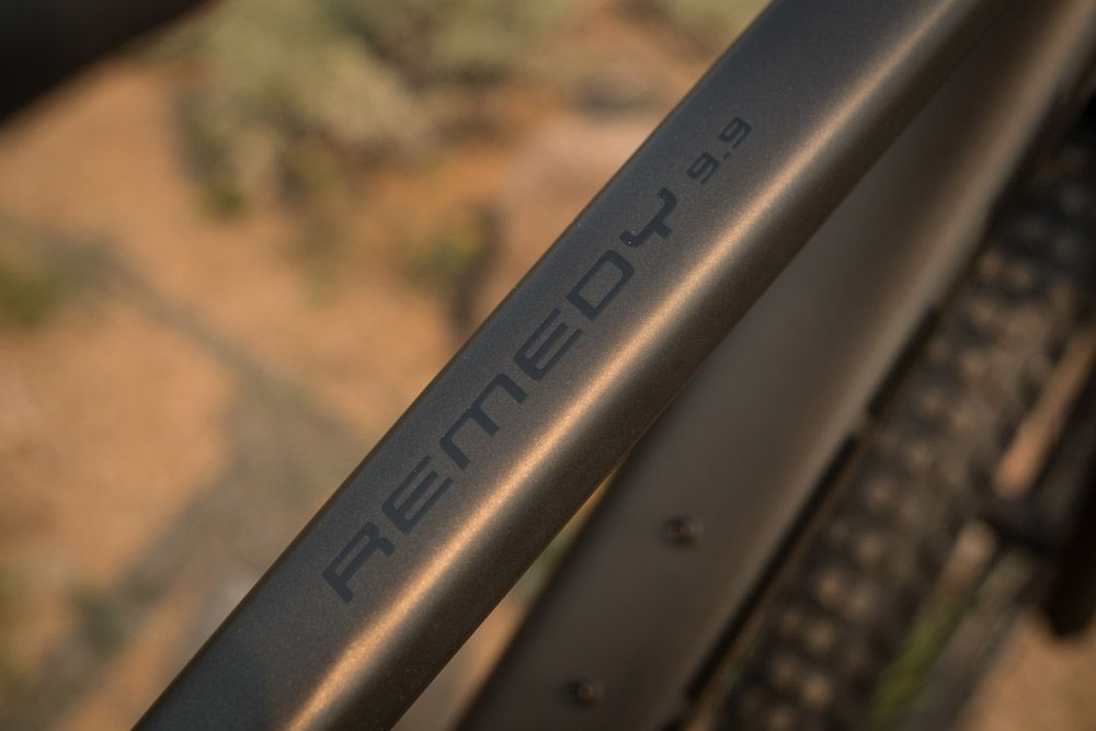 Trek Remedy 2019