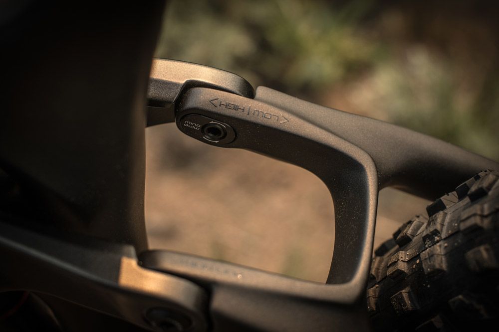 Trek Remedy 2019