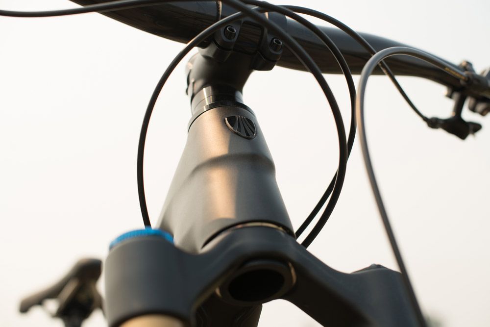 Trek Remedy 2019