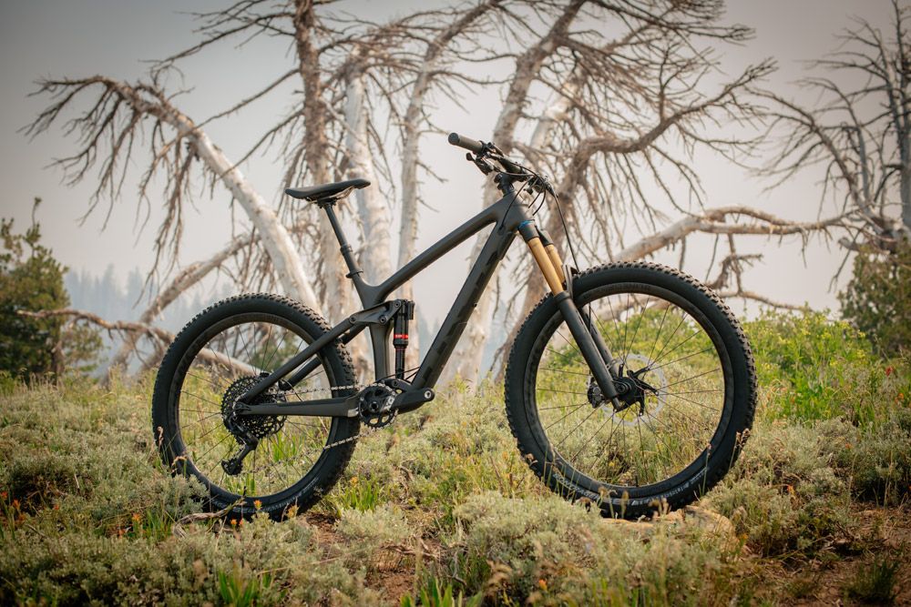 Trek Remedy 2019