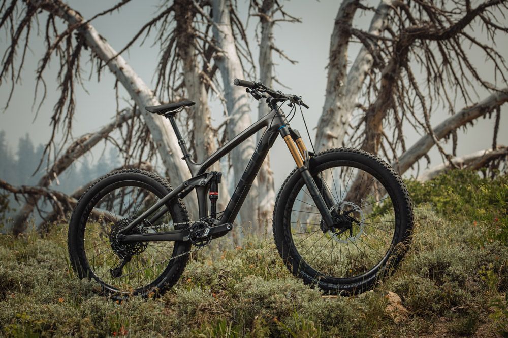 Trek Remedy 2019