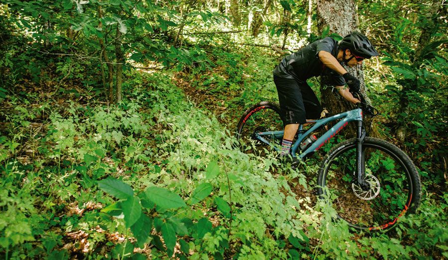 Prueba: Specialized Stumpjumper Expert 29 2019