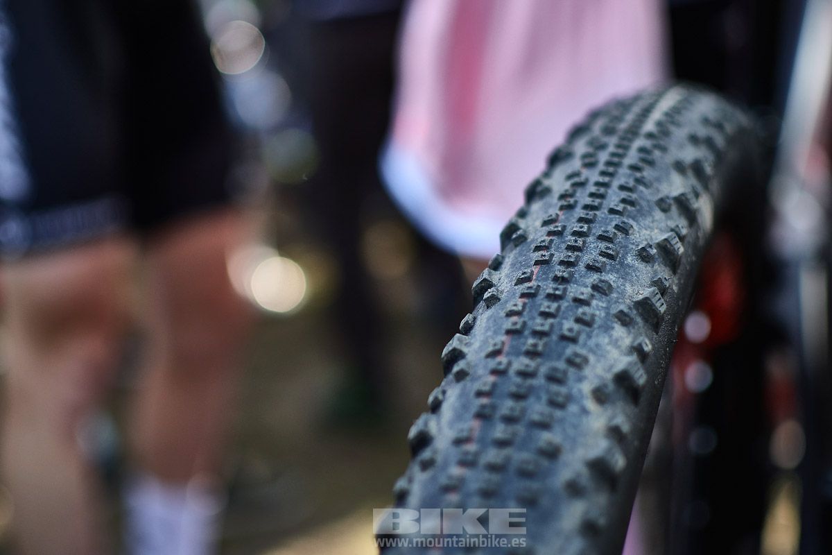 Nove Mesto 2019. Copa del Mundo. Short Track. Mujeres