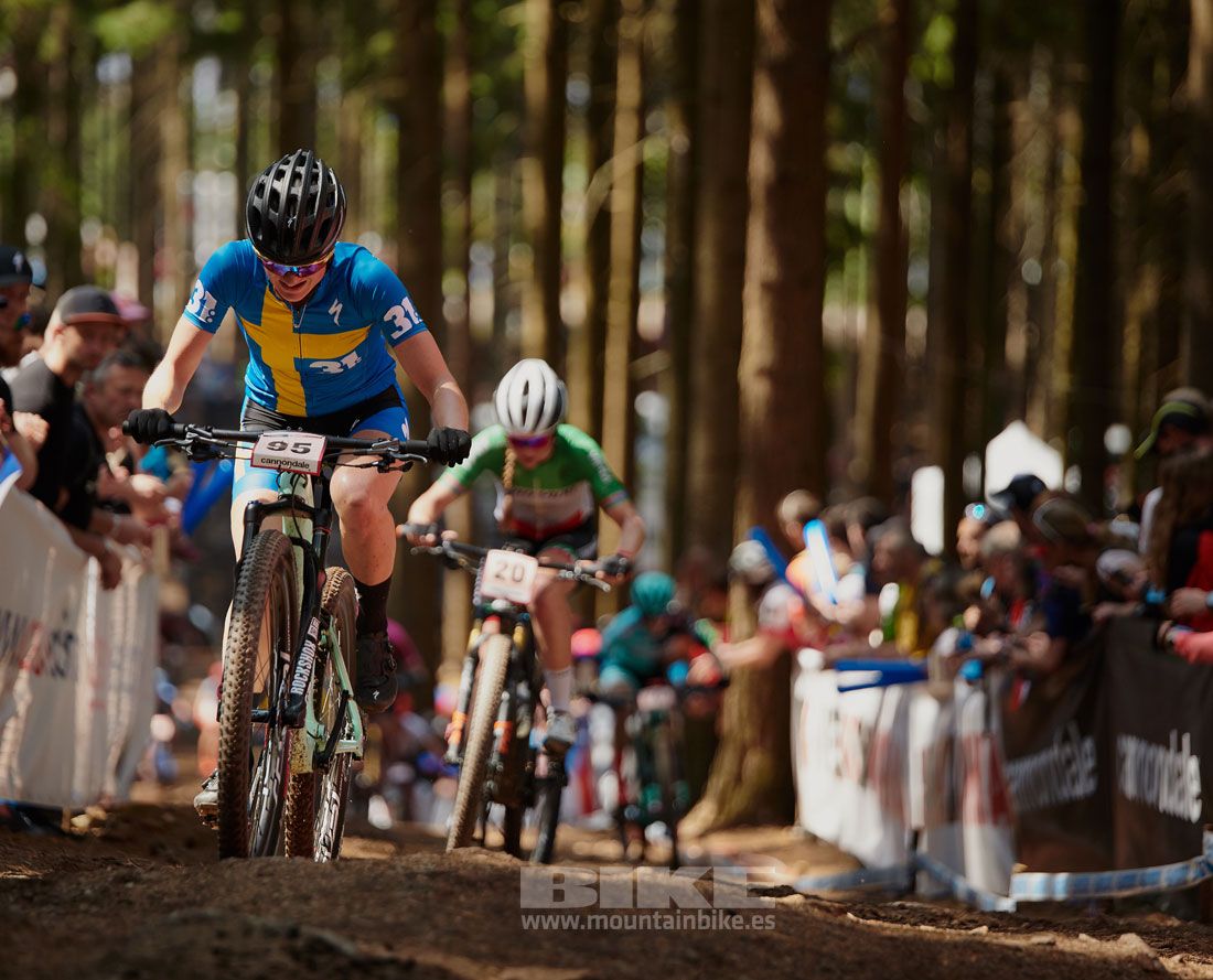 Nove Mesto 2019. Copa del Mundo. Carreras elite XCO GALERIA 3. 