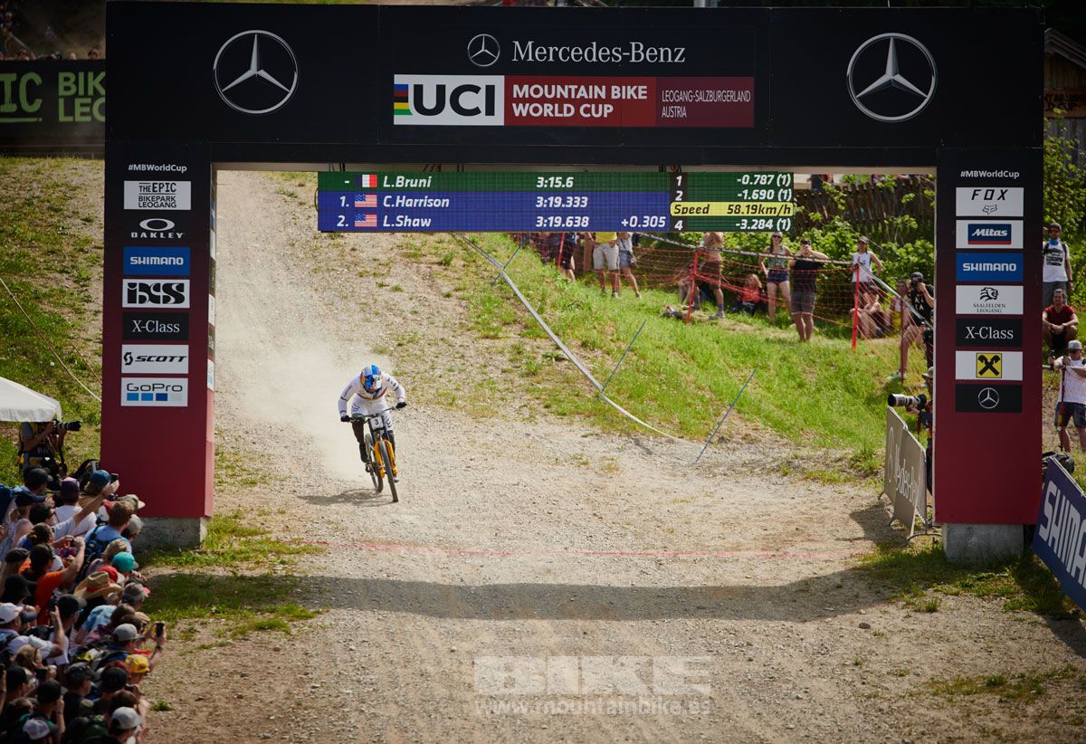 Copa del Mundo Leogahg 2019. Galería 1
