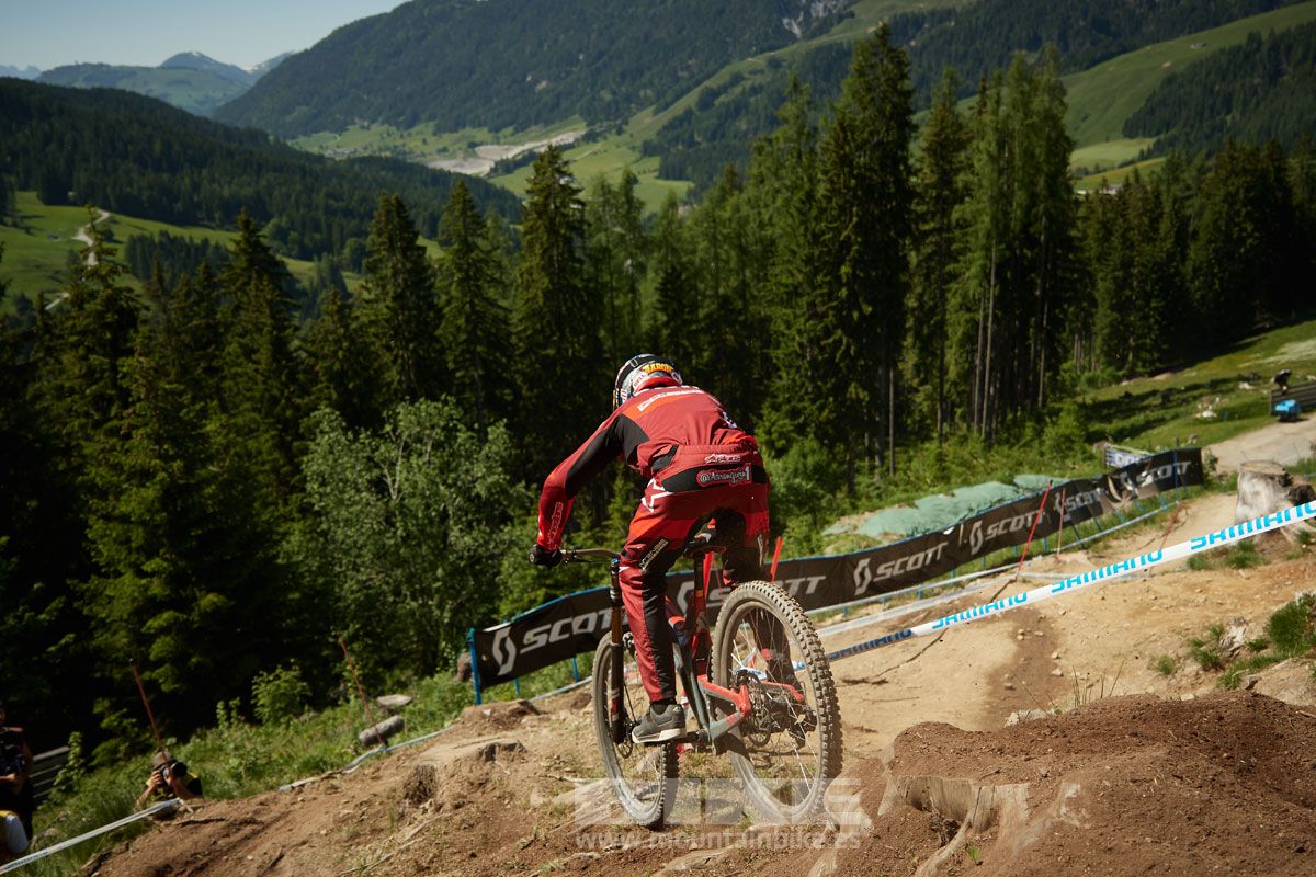 Copa del Mundo Leogahg 2019. Galería 1