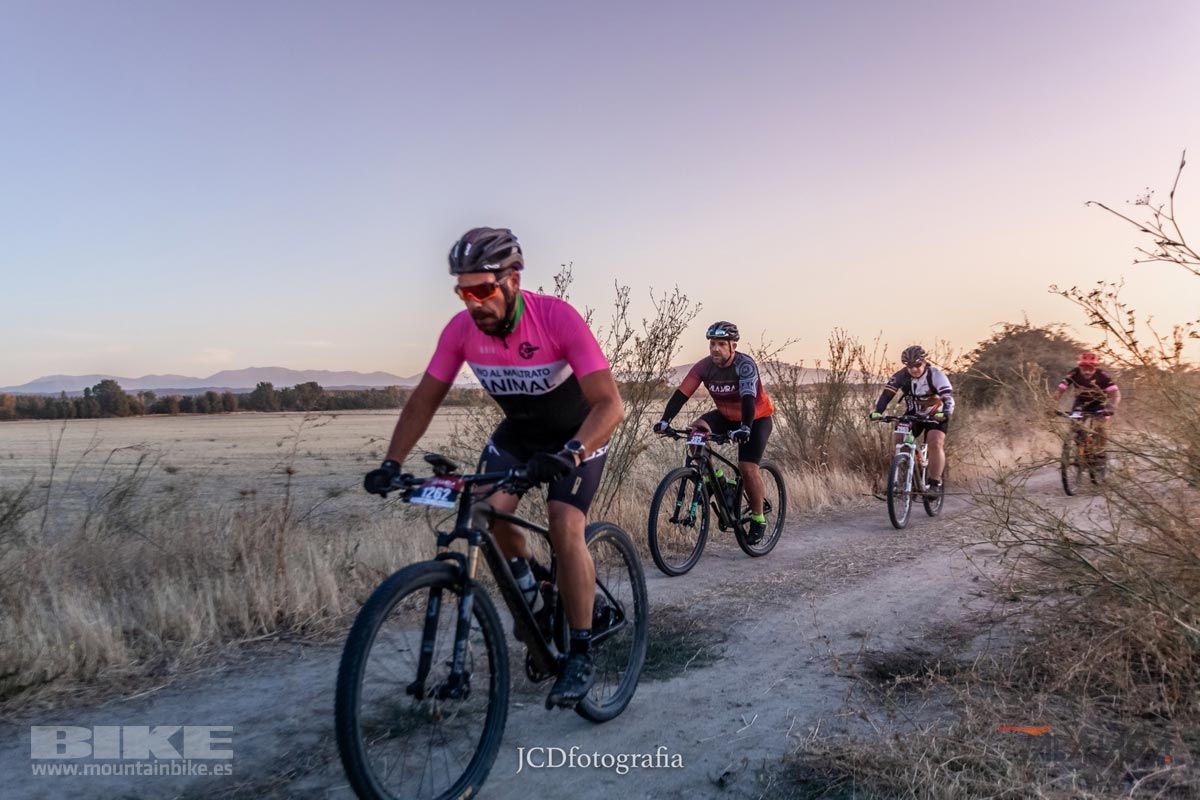 Talajara 2019. Galería 2