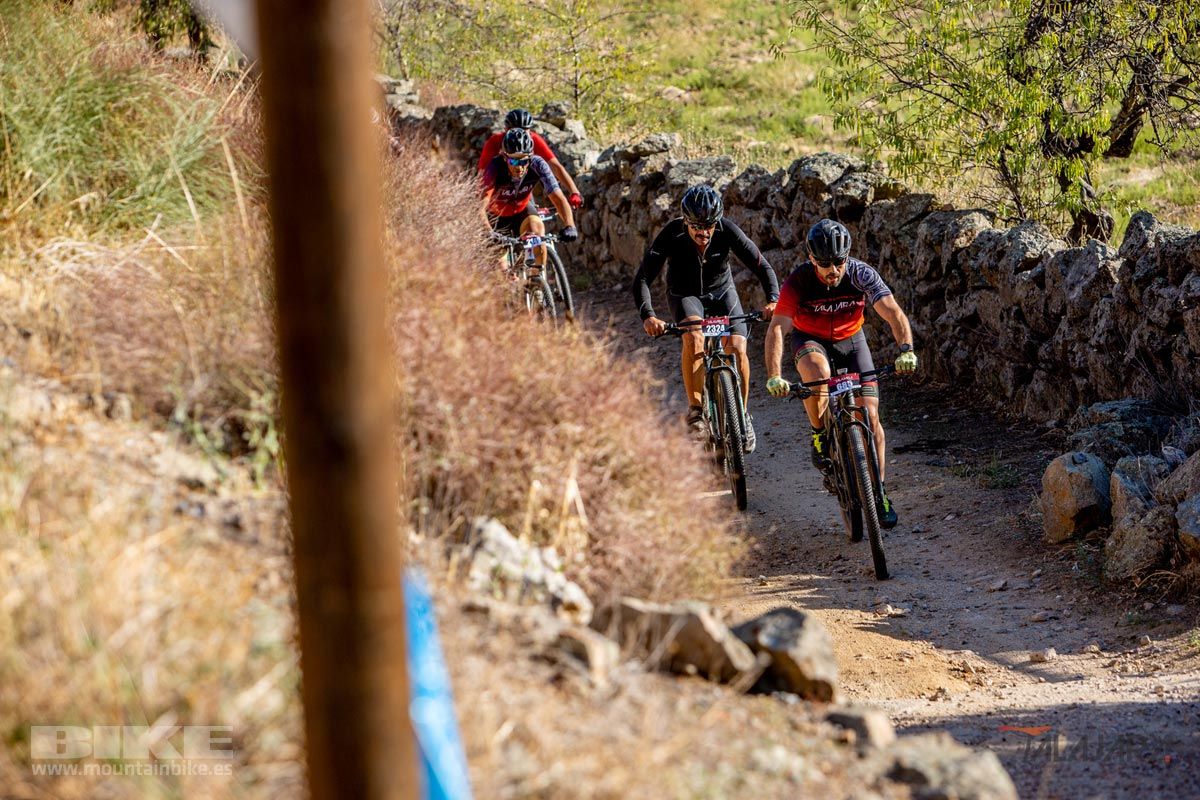 Talajara 2019. Galería 3