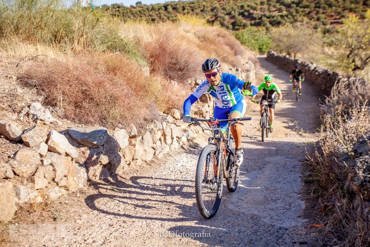 Talajara 2019. Galería 4