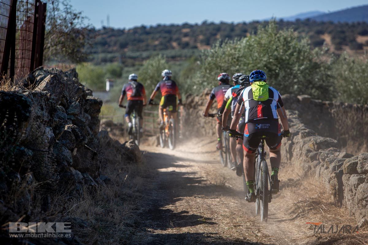 Talajara 2019. Galería 3