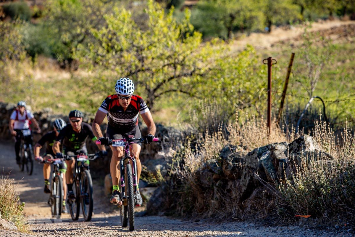 Talajara 2019. Galería 3