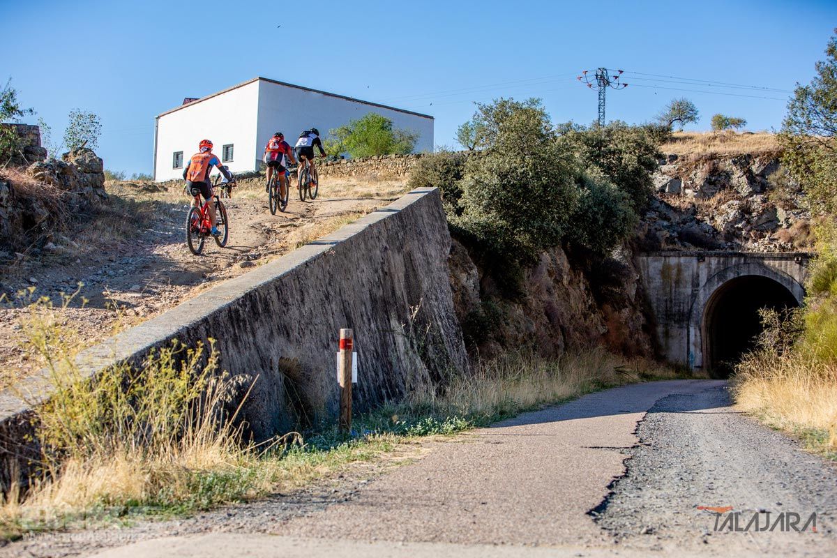Talajara 2019. Galería 3