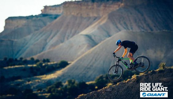 www.mountainbike.es