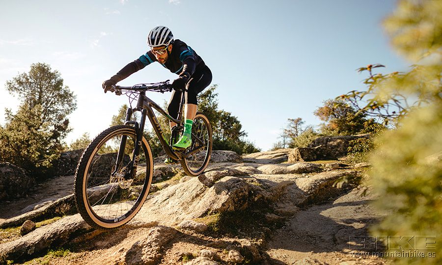 BMC Agonist 02 ONE 2020