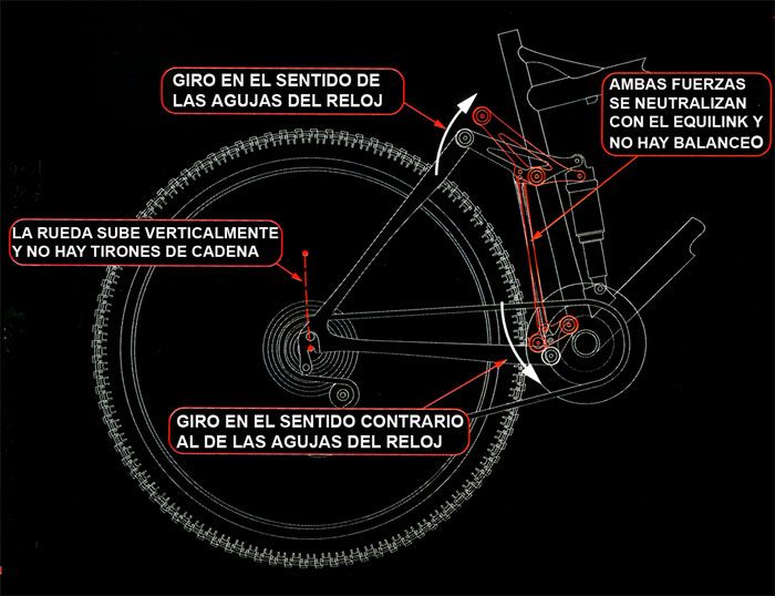 ¿CÓMO FUNCIONA EL EQUILINK DE FELT?