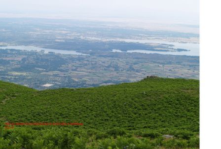 CANDELEDA ; ALTO DEL NOGAL-   CUERDA DE LA MADROÑERA (Ávila)