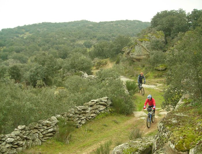 DE ZAMORA A MIRANDA DO DOURO