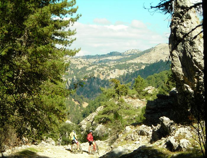 TORRE DEL VINAGRE (JAÉN)