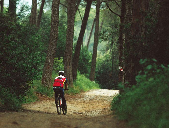 SALVEMOS EL TIBIDABO