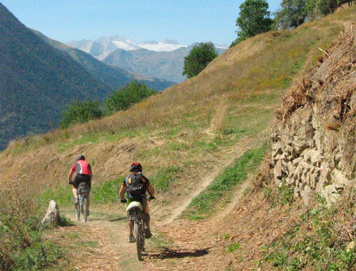LA SEMILLA DE PEDALS DE FOC
