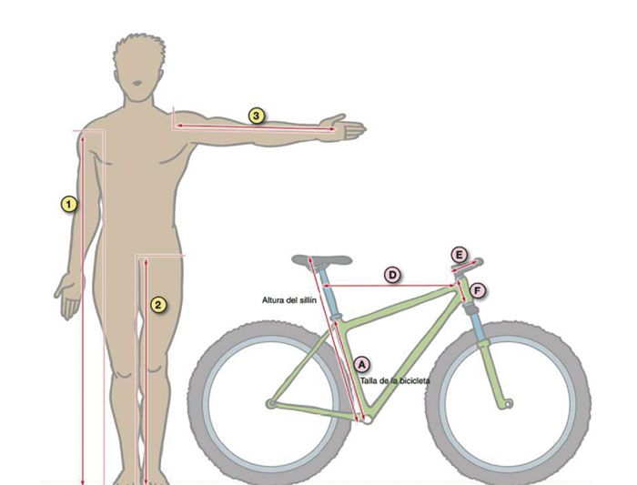 TU GEOMETRÍA IDEAL EN 8 PASOS