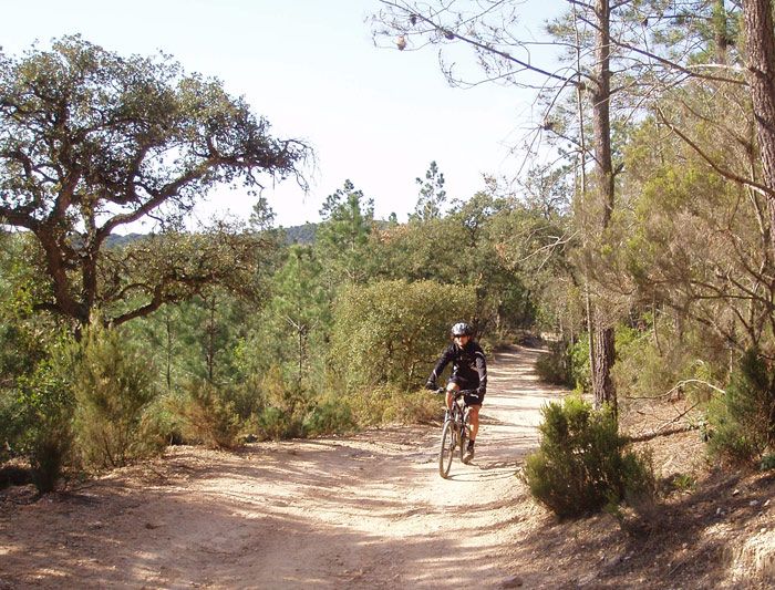 BLANES- GIRONA: UNA VUELTA POR LA SELVA