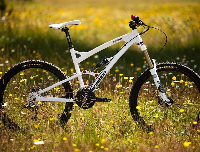 ASÍ ES LA NUEVA TRANSITION COVERT