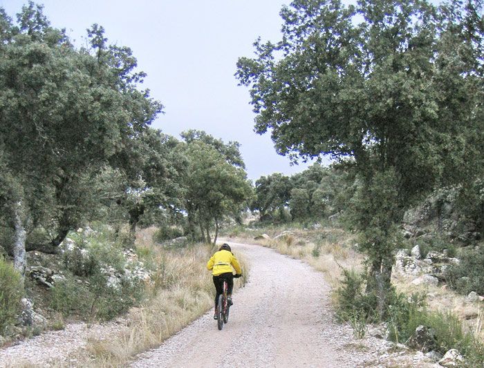 FRESNEDILLAS DE LA OLIVA (MADRID)