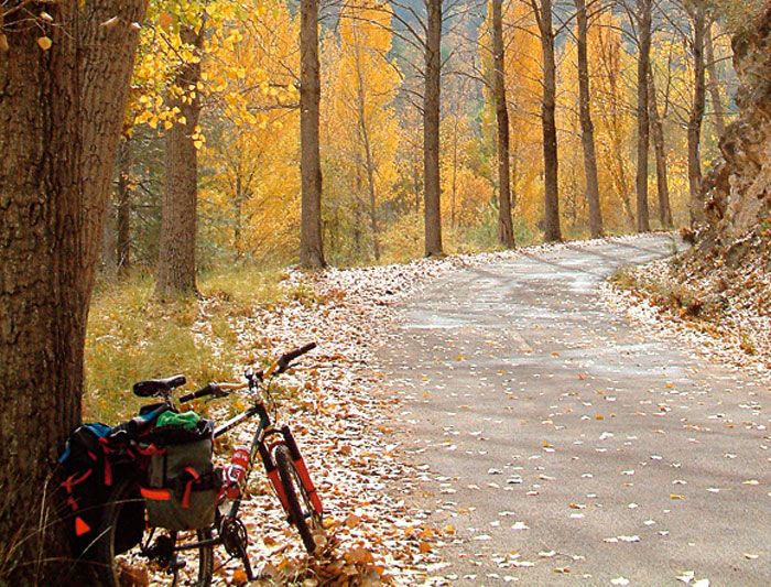 CURSO DE CICLOTURISMO CURSO DE CICLOTURISMO