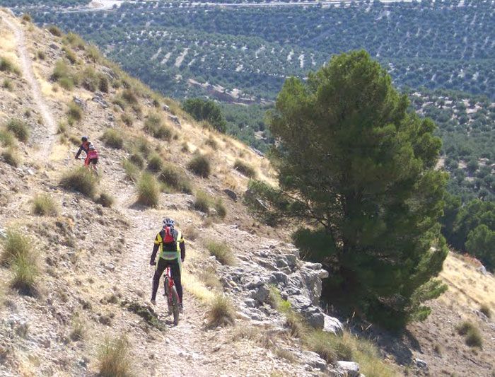 LLEGA LA BERCHO BIKE