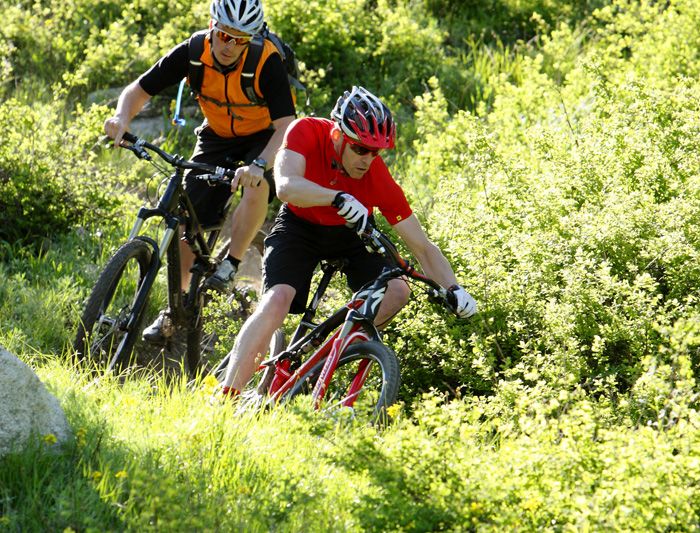 SPECIALIZED DAYS