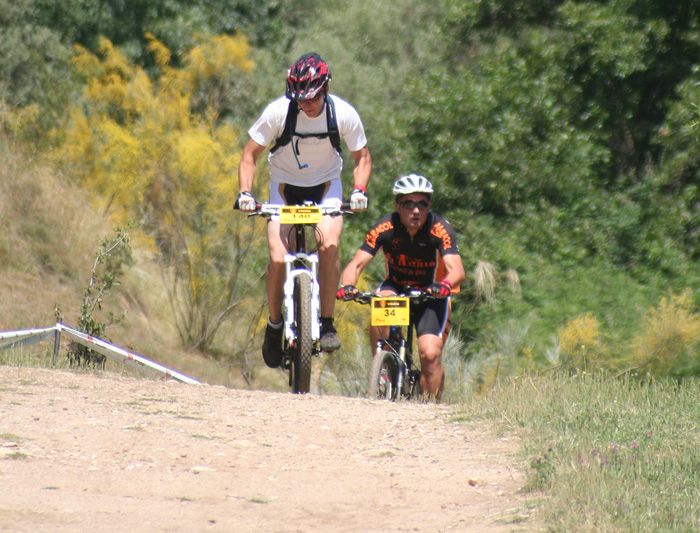 CAZAVIRIATO 2010