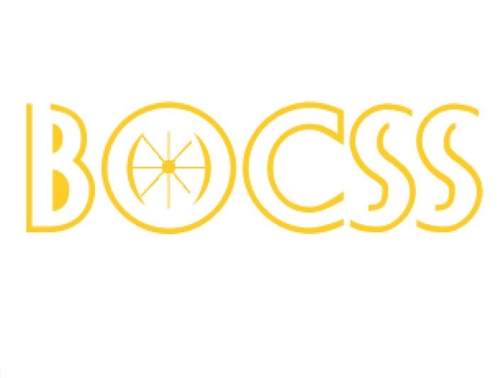 ¿QUÉ ES BOCSS?