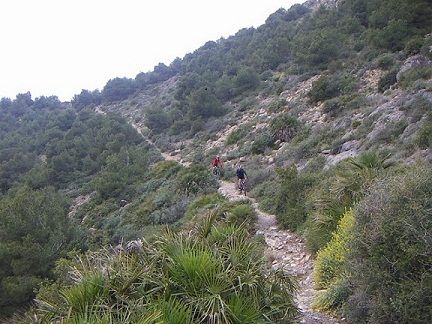 DESAFIO 4 PICOS