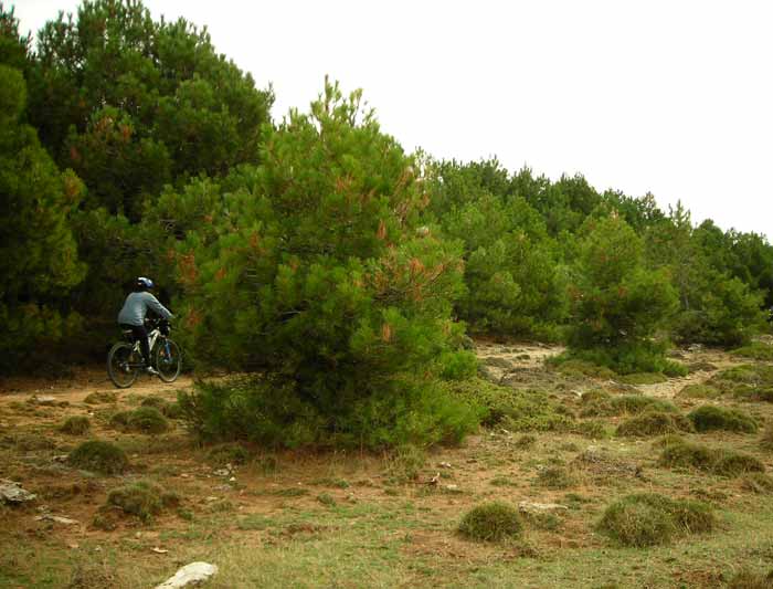 EL NACIMIENTO DEL RÍO GUADALQUIVIR (JAEN)