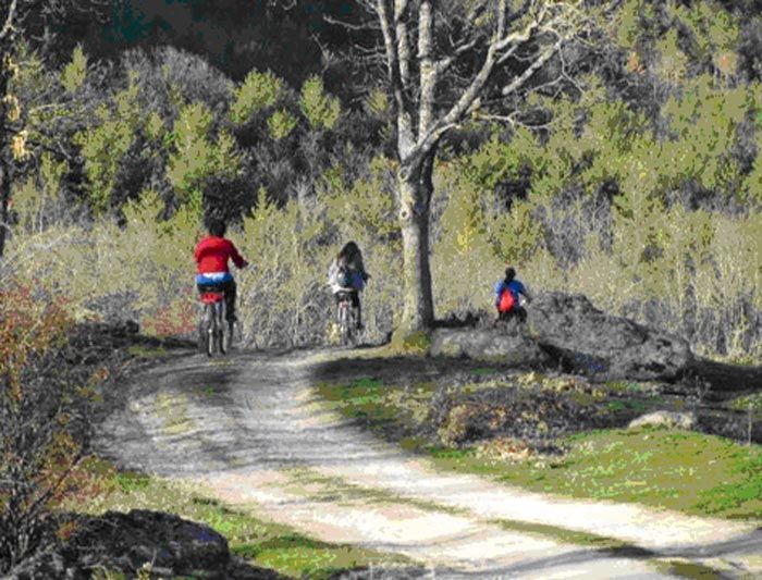 LOZOCLETA, BICICLETA PÚBLICA EN EL VALLE DE LOZOYA