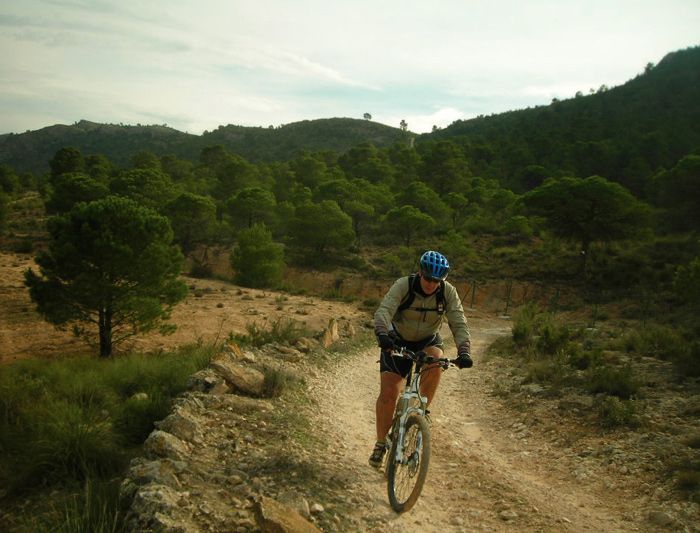 VILLENA (ALICANTE)