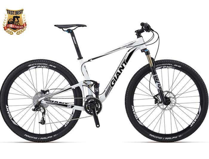 SISTEMA MAESTRO CON 29"