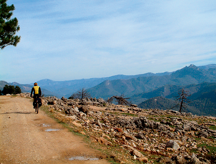 PEDALEA ANDALUCÍA