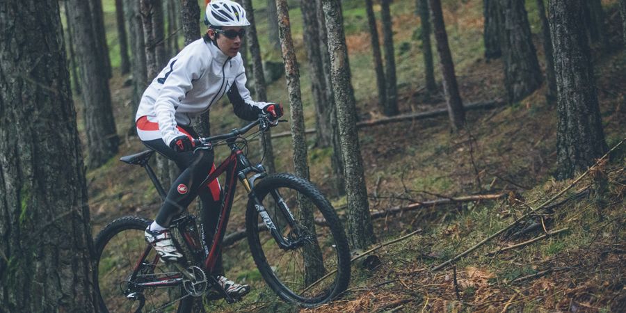 Prueba Ghost AMR Lector 2990