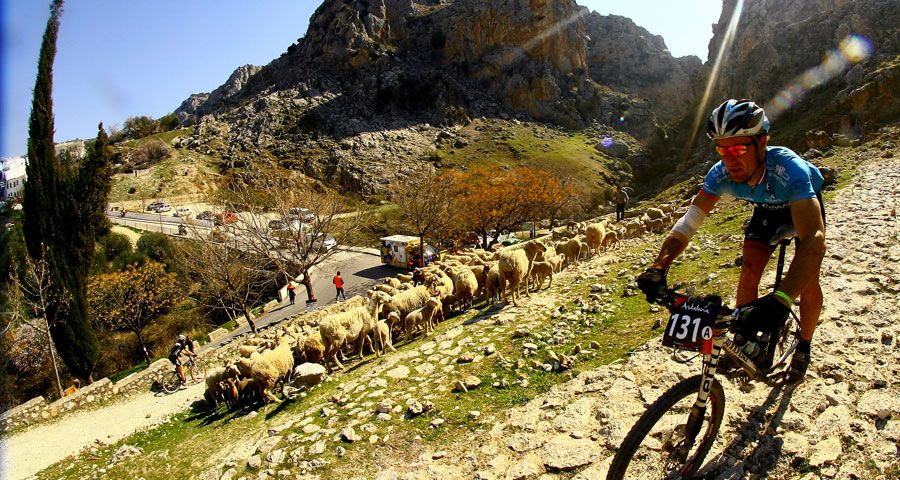 Así es el recorrido de la ABR 2014