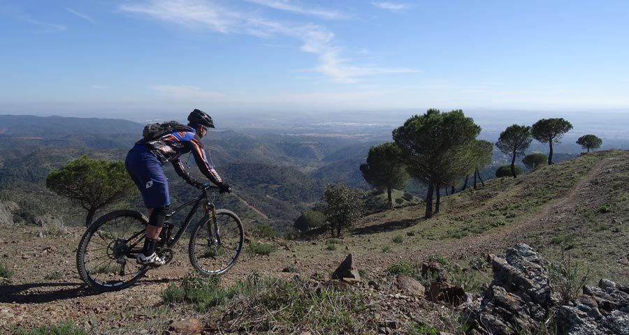 Test de Usuarios Canyon Nerve AL 9.9 SL: En el campo