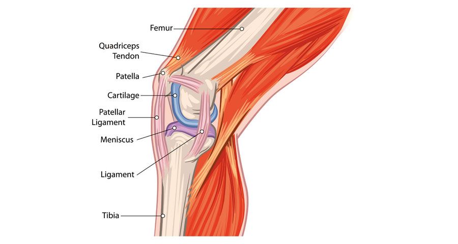 ¿Pueden afectar las marcas de pedales a tus dolores de rodilla?