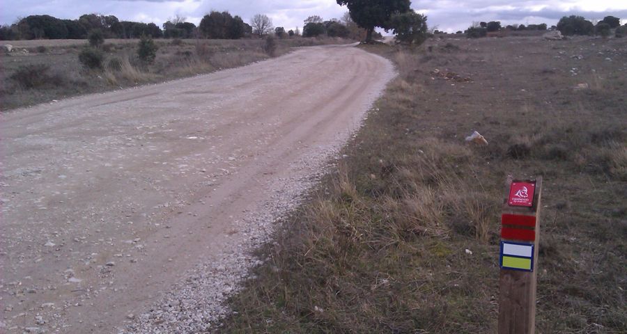 El Consorcio Camino del Cid revisa y mejora la señalización a lo largo de todo el sendero.
