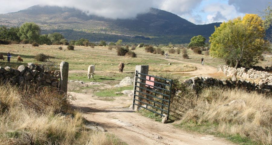 XIV Maratón Sierra Norte