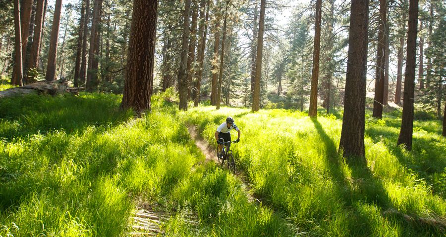 ¿Te gustaría crear una empresa de MTB?